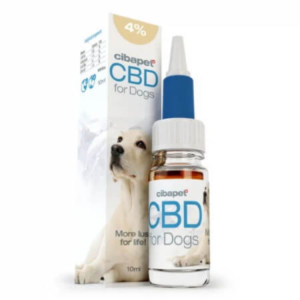 CBD-Öl 4_ für Hunde - cibdol