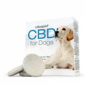 CBD-Pastillen für Hunde - cibdol