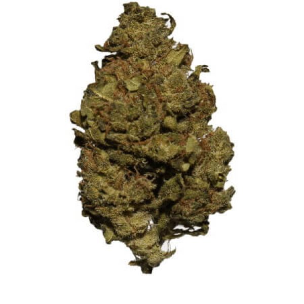 cbd_bluten_orange_bud_1800x1800