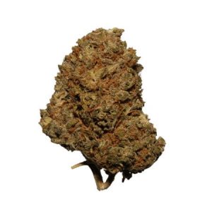 cbd_white_widow_bluten_kaufen_cbdnol