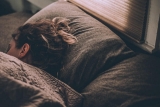 CBD bei Schlafstörungen (erfahrungen)