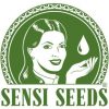 Sensi Seeds CBD logo (1)