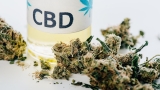 Was sind CBD Blüten und welche Anwendungsmöglichkeiten gibt es?