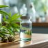 Die Auswirkungen der cannabis-legalisierung in deutschland